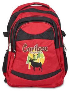 Eco-Friendly Hiking Daypack