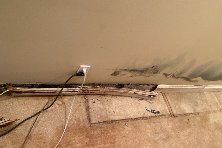 Mold Growth In Basement